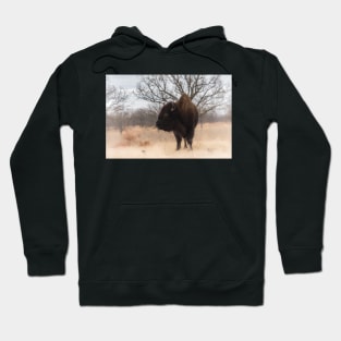 Grazing American Bison Woolaroc Oklahoma Hoodie